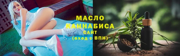 твердый Инта