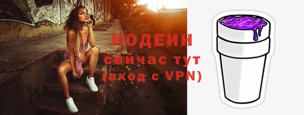 твердый Инта