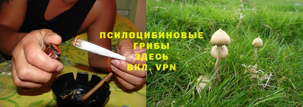 шишки Иннополис