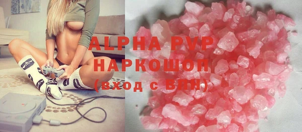 твердый Инта