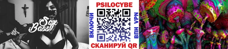 Псилоцибиновые грибы мицелий  Купить  Аткарск 
